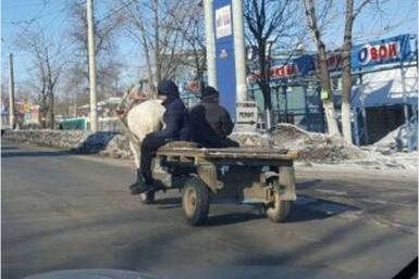 Лошадь, запряженная в телегу, на улице Хабаровска Андрей Ан